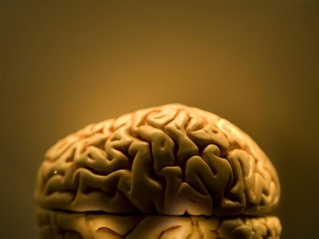Your Brain Can Make Music