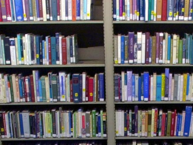 Brothers Busted in Library Burglary