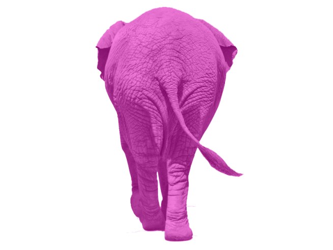 Did You See That Pink Elephant?