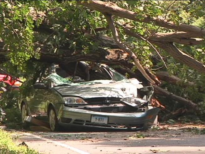 Tree Crushes Car, Kills Woman Inside