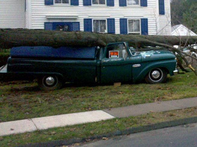 Sale Crushed: Tree Falls Onto Classic Truck