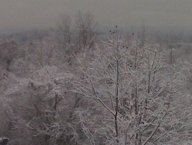 First Coating of Snow Falls in Connecticut