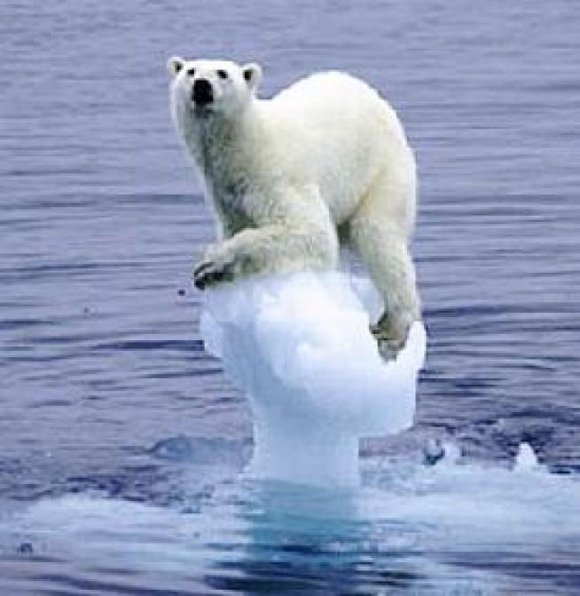 Lawsuit Challenges 11th Hour Cuts in Endangered Species Protections