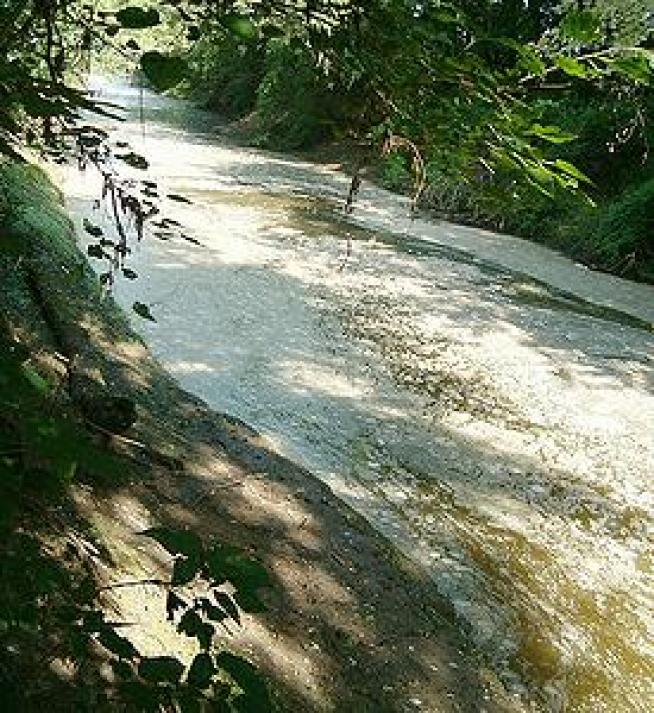 Bush Administration Covered Up 500+ Blocked Water Pollution Cases