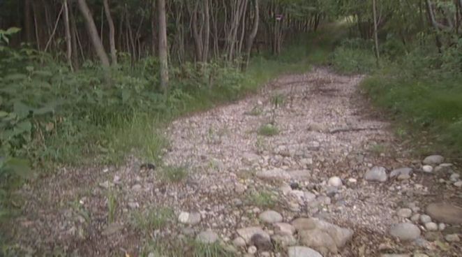 Richard Roncarti had been missing for seven days after going hiking in the Naugatuck State Forest.  Shortly before the search for him was to be called off, Roncarti was finally spotted by a construction worker and eventually rescued by first responders.  Roncarti suffered multiple injures including a broken leg from a fall that left him stranded.