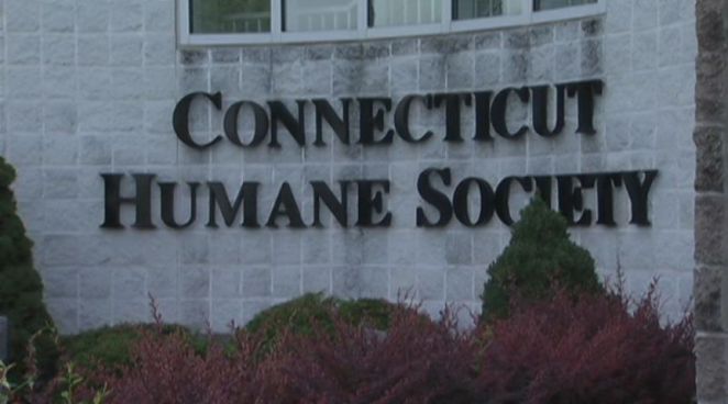 Local families looking for lost pets have been getting disturbing phone calls from pranksters who got their information off a Craigslist posts.  The callers made it look and sound like they were calling from the Connecticut Humane Society and told victims they had found the lost pets.  Unfortunately, it was all a scam apparently just to cause more pain to the victims.