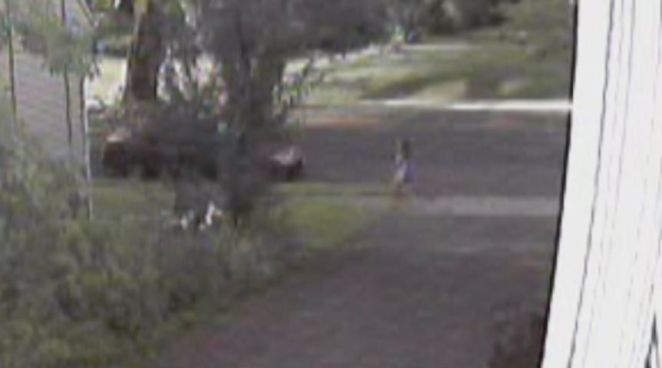 New Britain police hope someone will recognize the van involved in an attempted abduction last Friday.