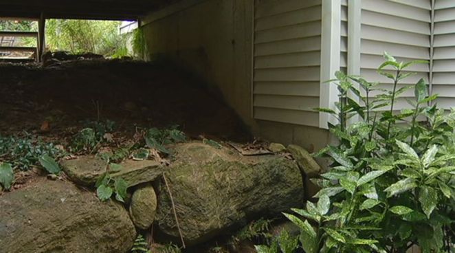 A Wolcott couple got quite the surprise after finding out a suspected bank robber used the space under their deck to hide from police.