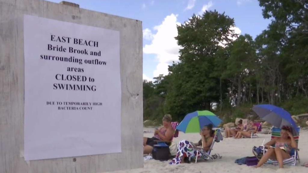 7 Swimming Areas Closed After Water Quality Testing