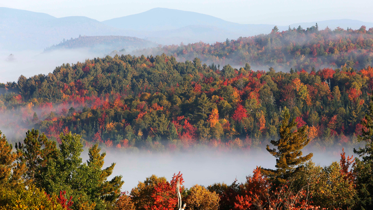 Connecticut May See Early Fall Foliage