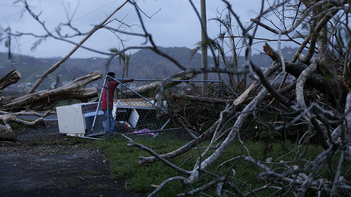 State Advises Schools on Enrolling Students From Puerto Rico