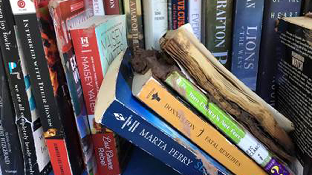 Homemade Library Set on Fire in West Hartford