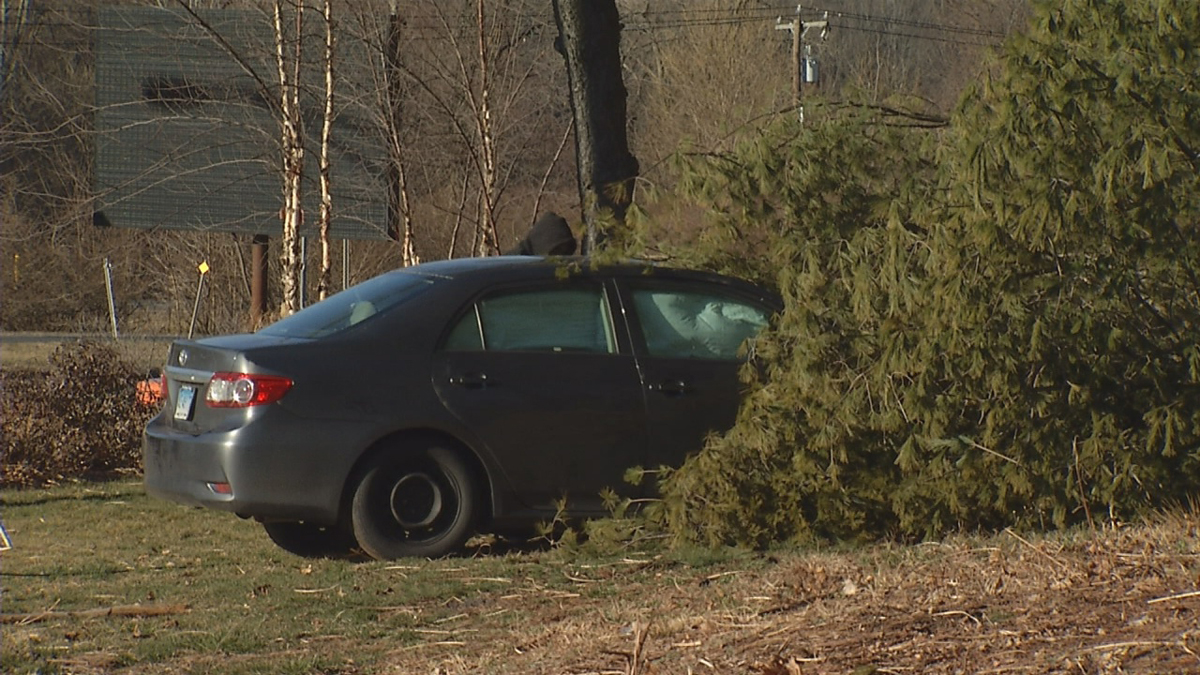 Car Downs Tree on Route 4 in Farmington