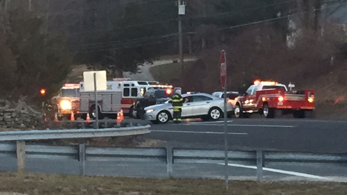 One Killed When Tree Falls on Vehicle in Columbia