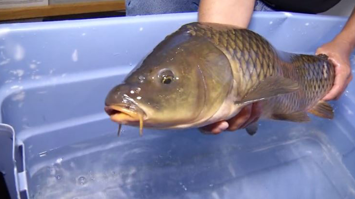 Families Find Fun at DEEP Free Hunting and Fishing Day