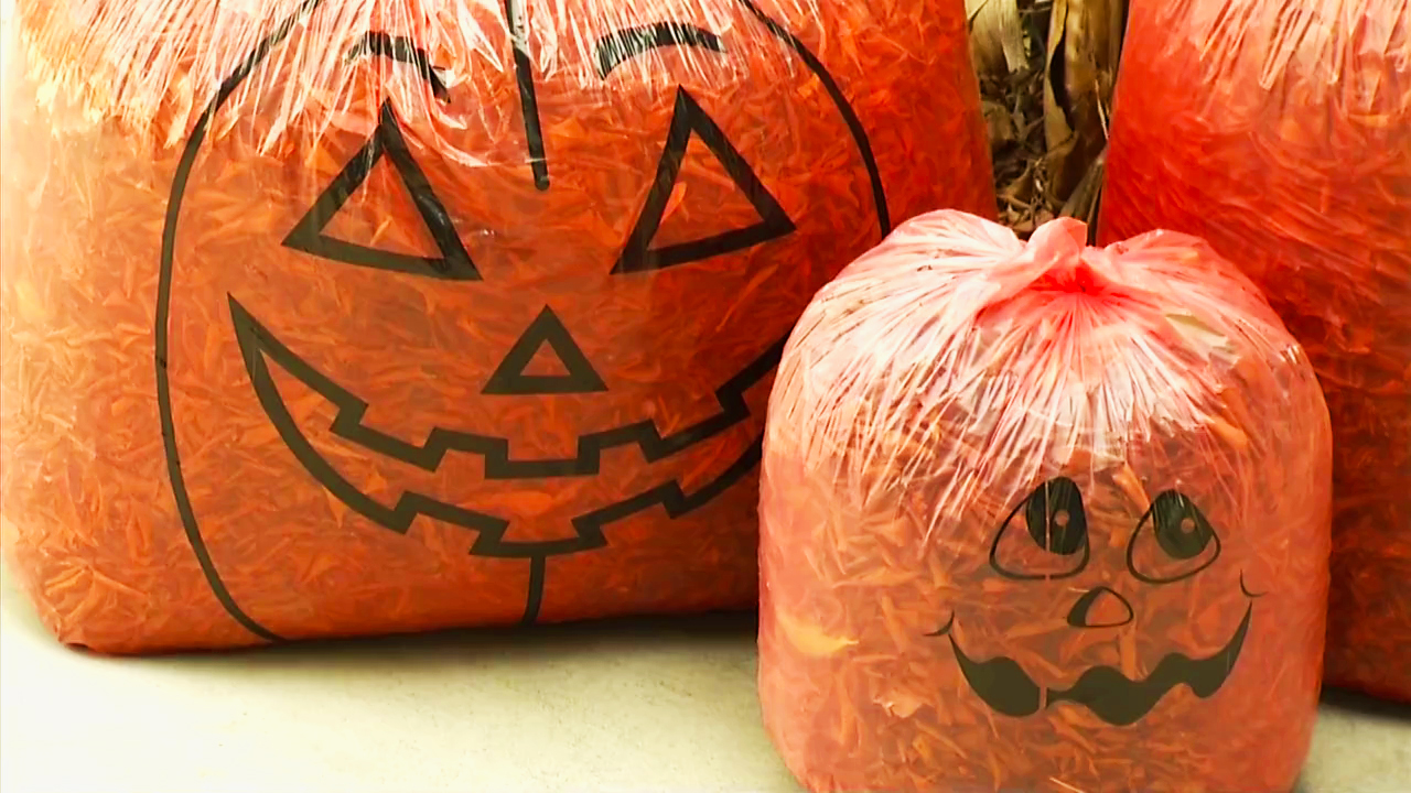 'Halloween Lunatic' Promised Candy With Poison: Police