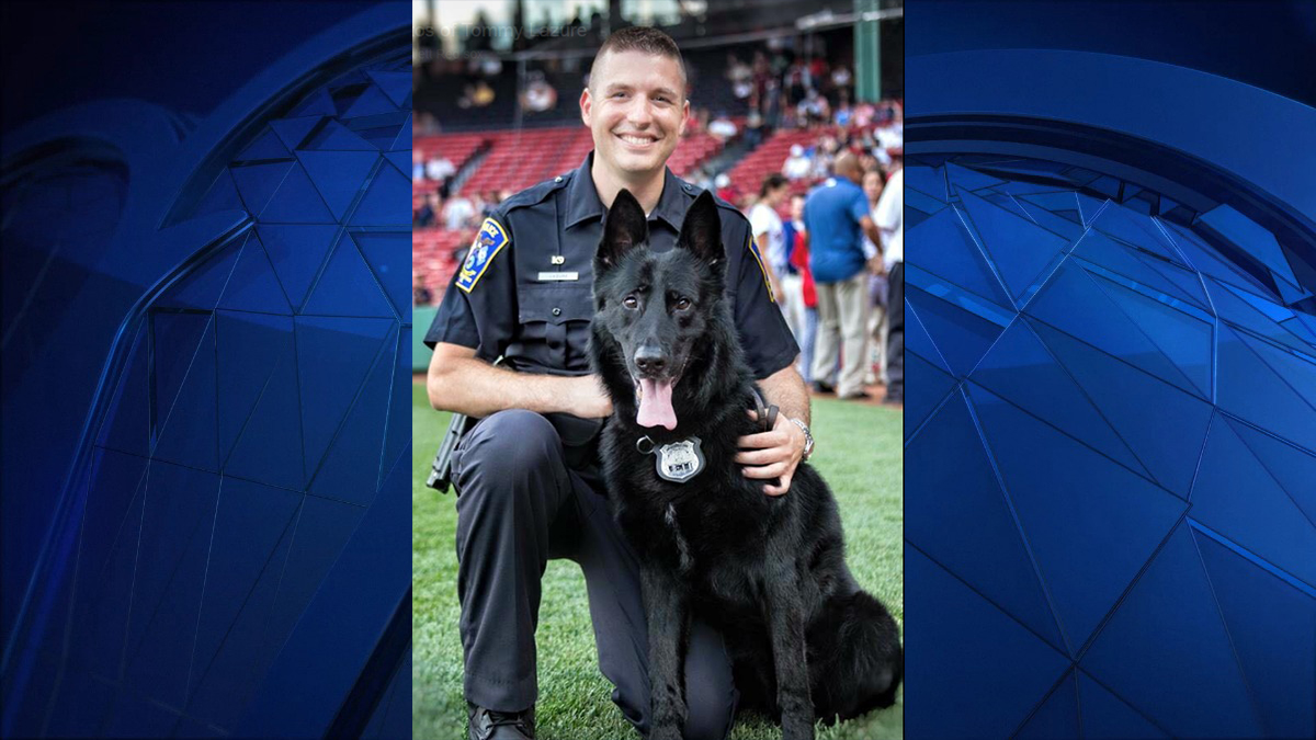 West Hartford K9 Finds Missing Man