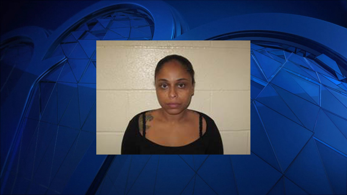 Woman Arrested with 45 Cloned Credit Cards: Police