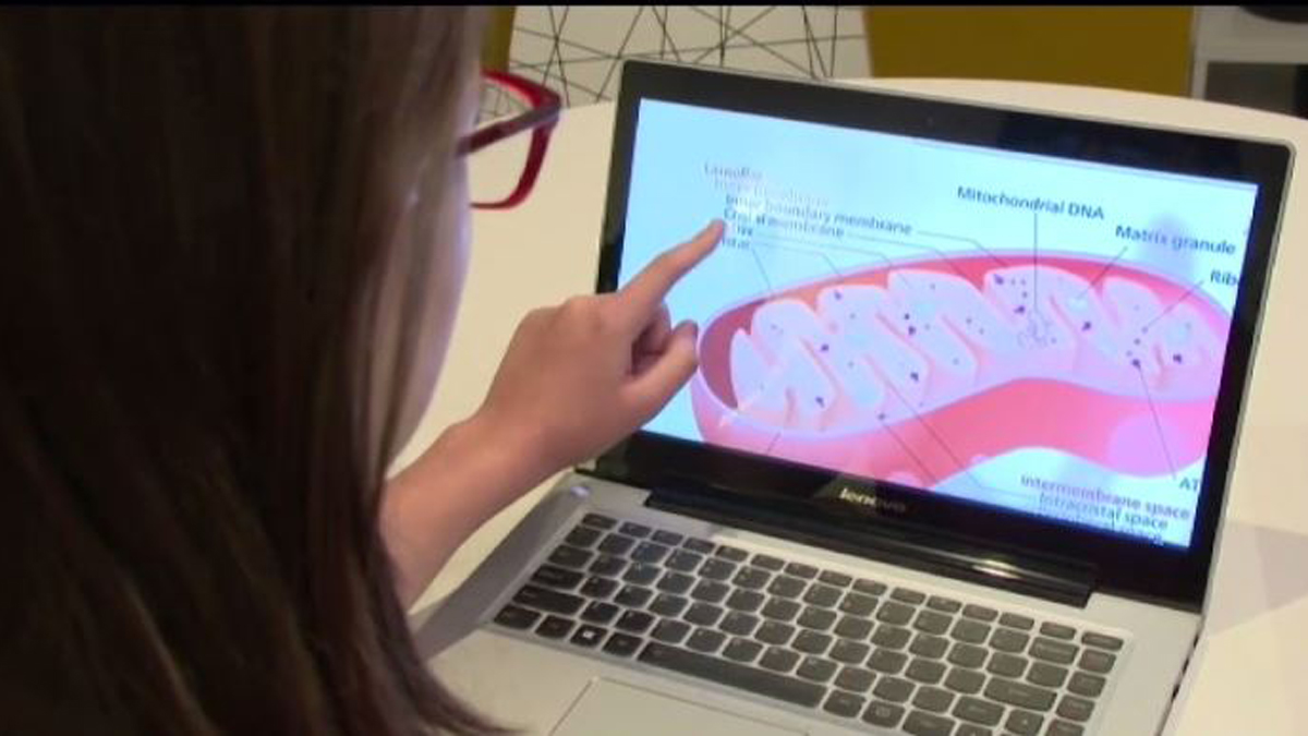 Cheshire Parents Concerned Over School Laptop Program