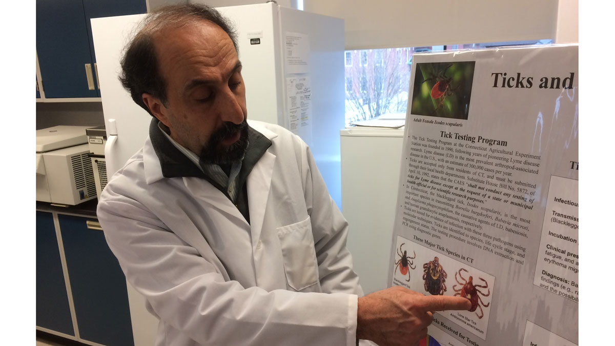 Connecticut Scientist Predicts 'Difficult' Season for Lyme Disease