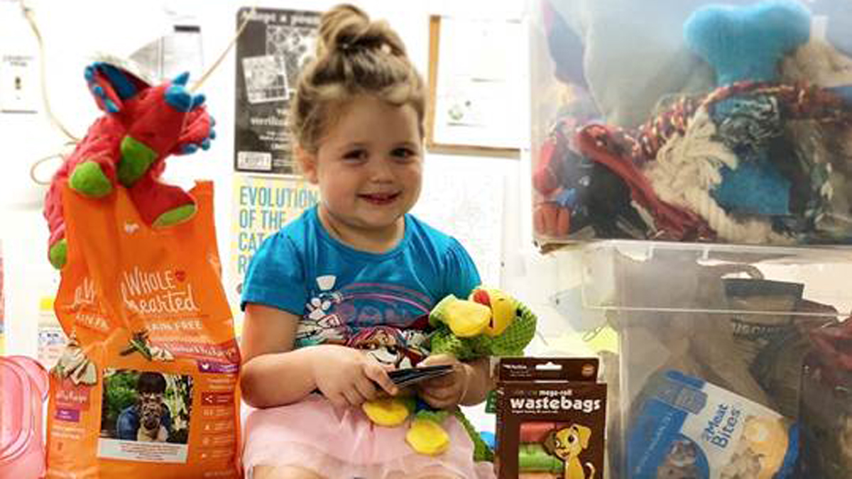 Girl Collects Donations for East Windsor Animal Shelter