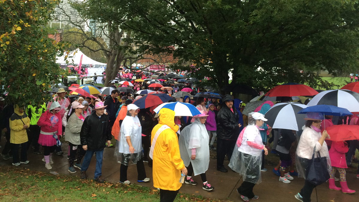 Thousands Attend Making Strides Walk in Hartford