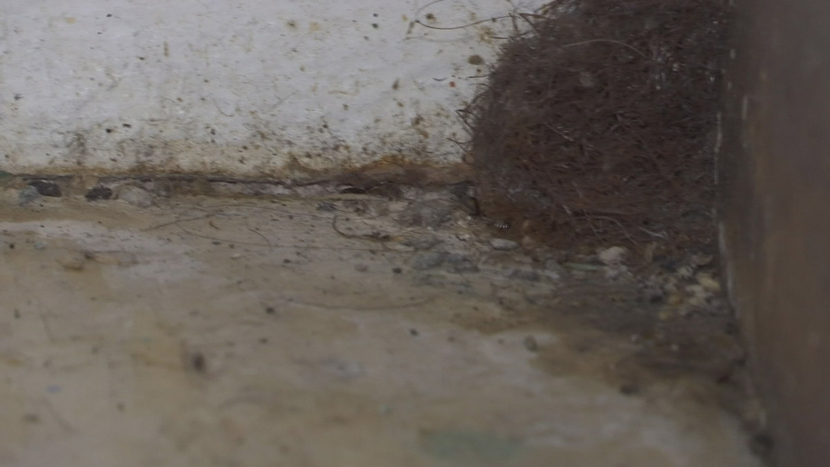 City Seeking Approval to Relocate Tenants at Housing Complex