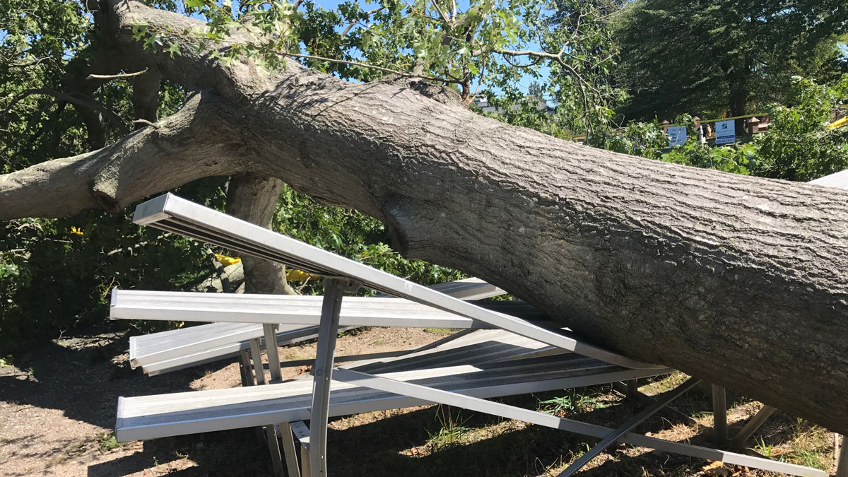 Downed Trees Damage Little League Fenway in New London