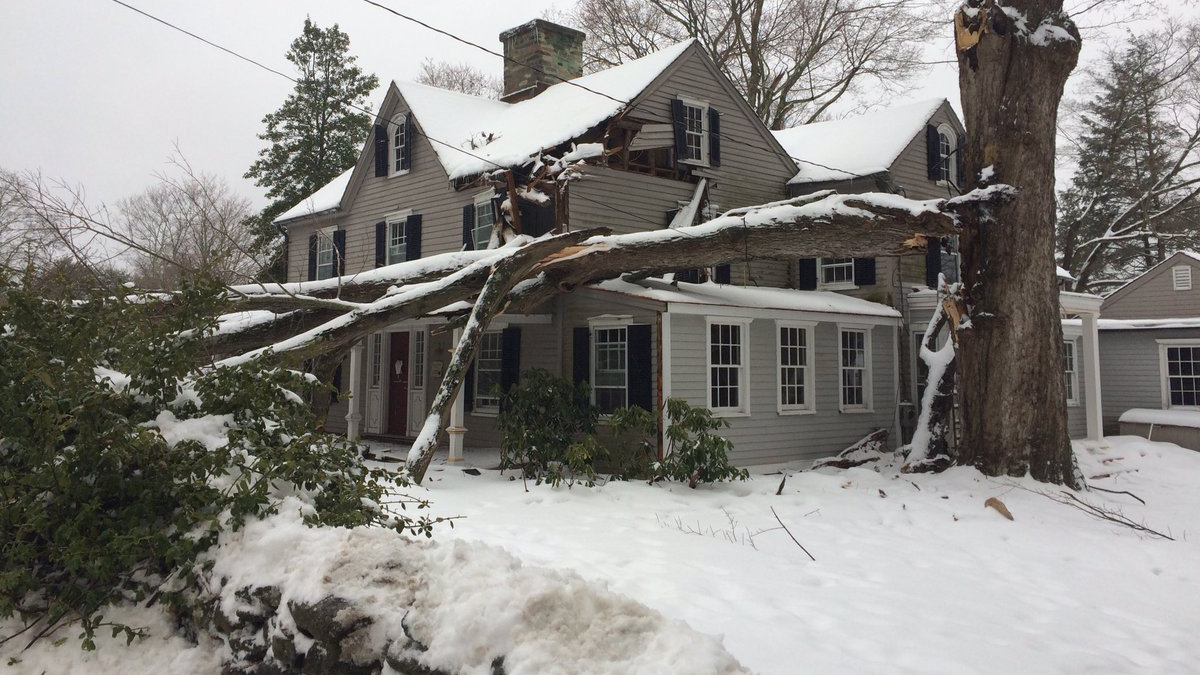 Large Tree Branch Falls on Home in Wilton