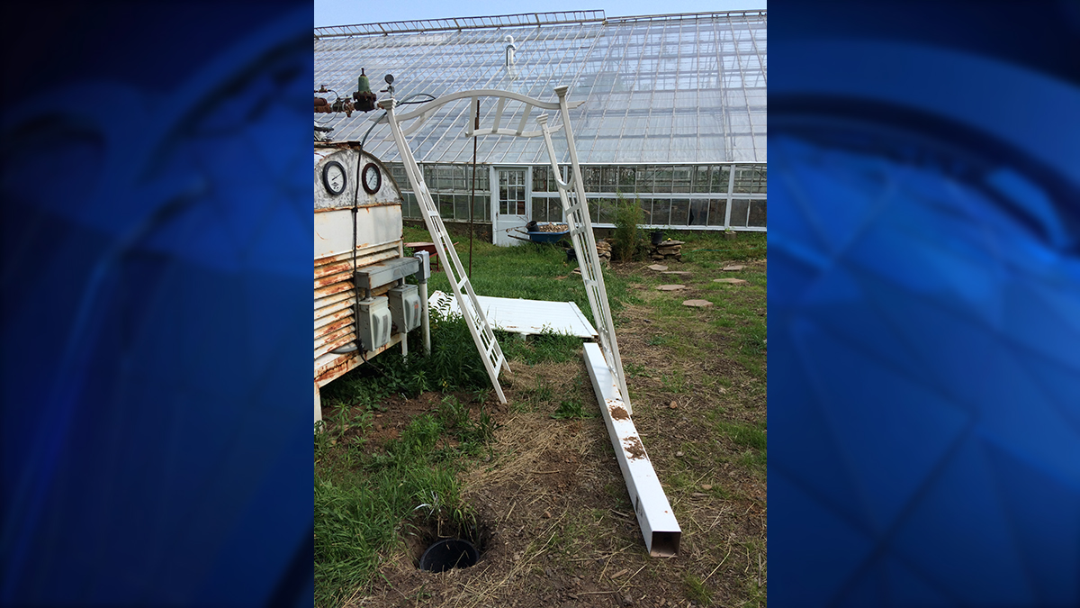 Vandals Damage Guilford Non-Profit Garden Project Twice