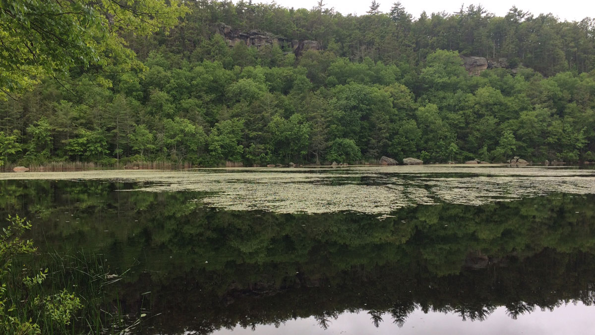 Rescues Can be Dangerous in Tricky Locations