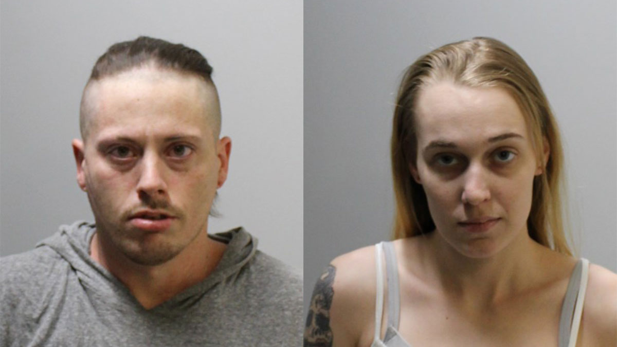 2 Arrested for Cultivating, Selling Marijuana in Ledyard: PD
