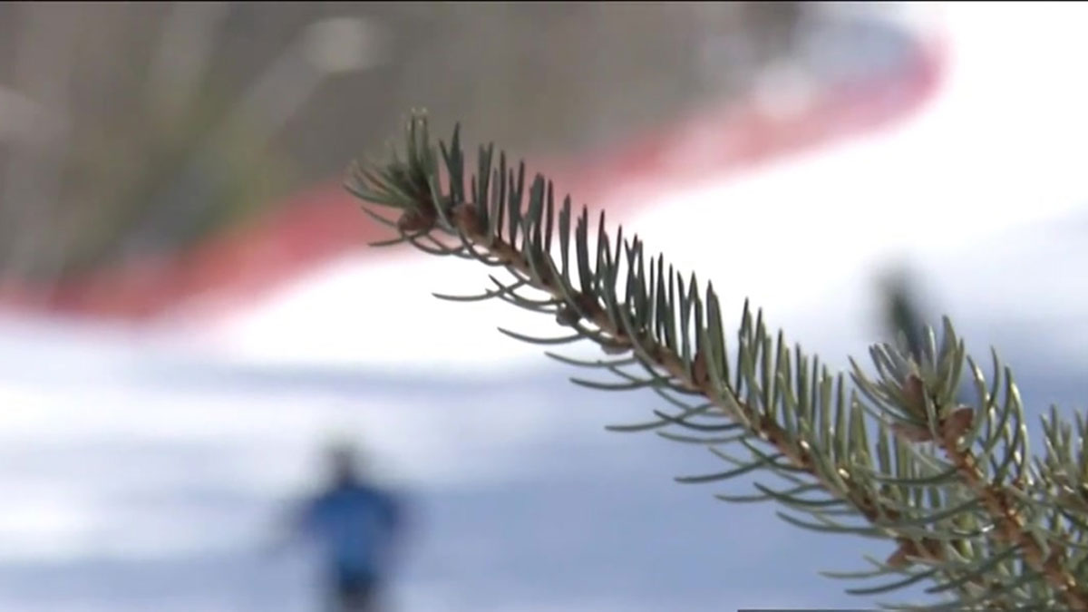 Ski Report: Despite Warmer Temps, Snow Still Enjoyable