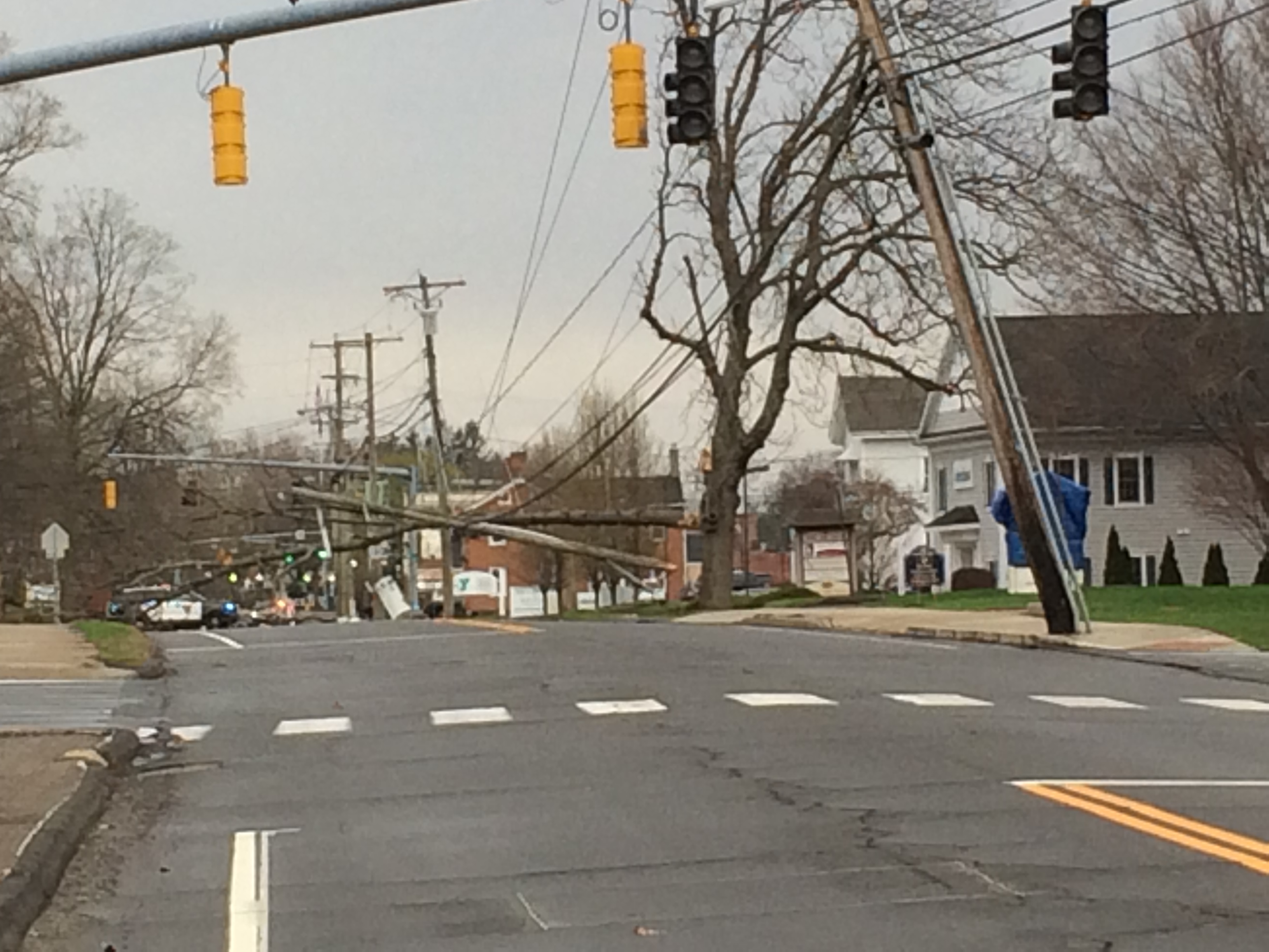 Savage Street in Southington Closed Due to Downed Tree