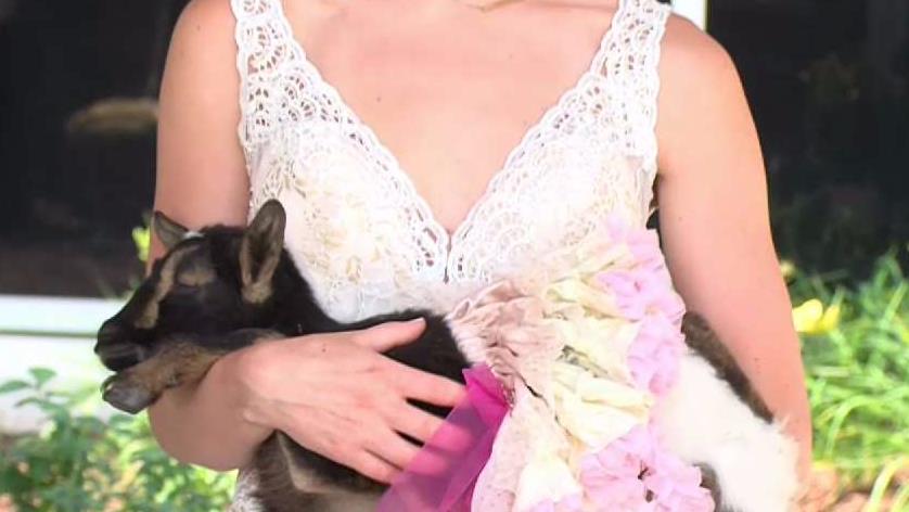 Trends for Outdoor Weddings in Connecticut