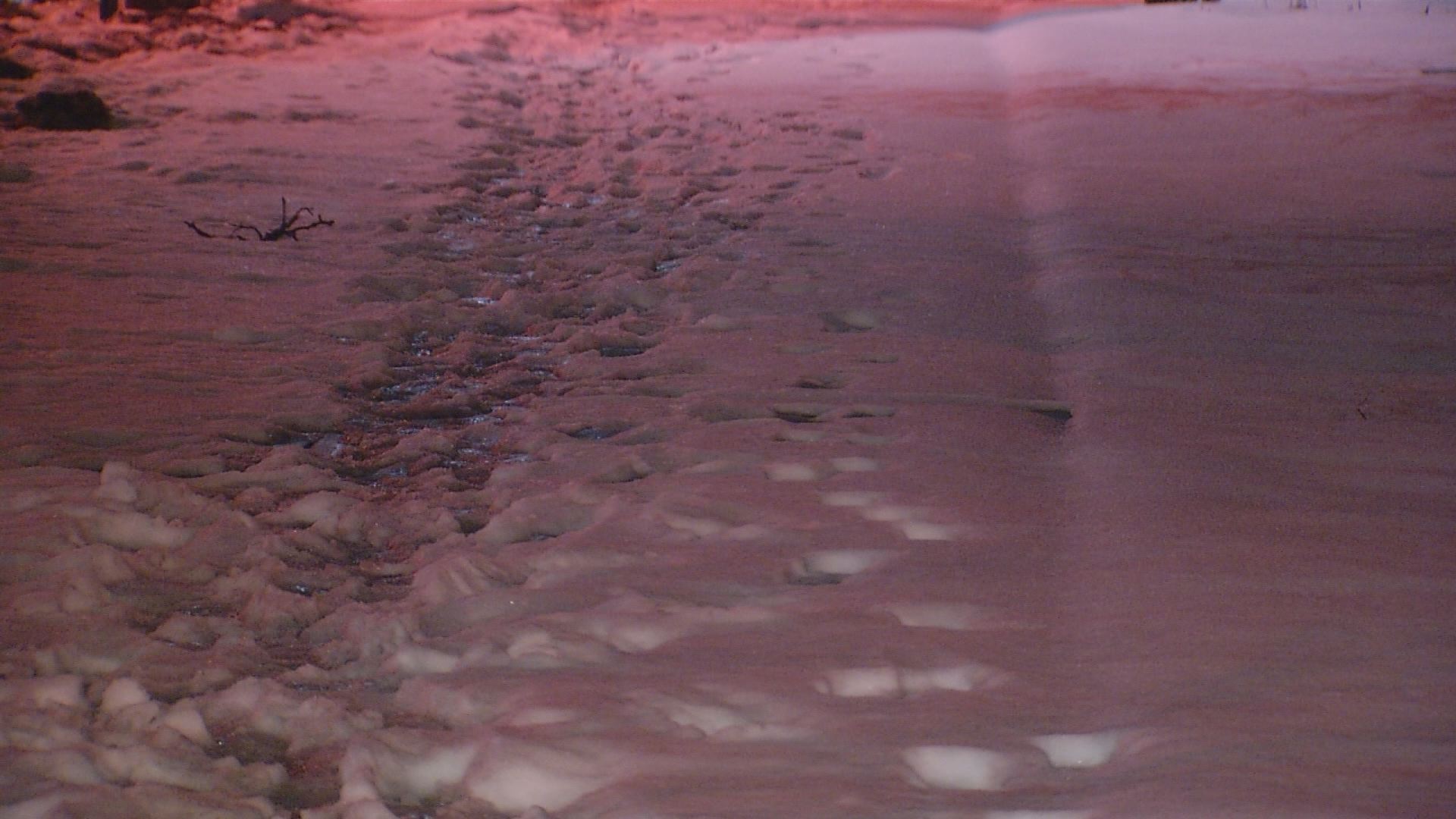 Hamden Cracks Down on Those Who Don't Shovel Sidewalks