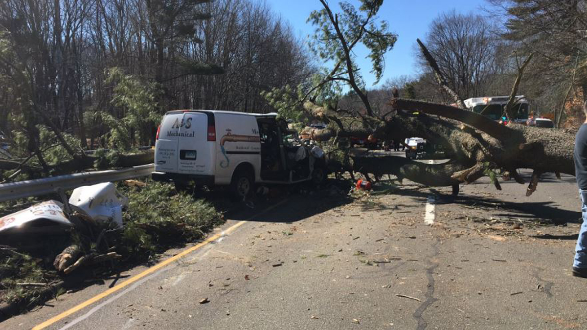 Wilbur Cross Parkway Reopen After Tree Falls on Van