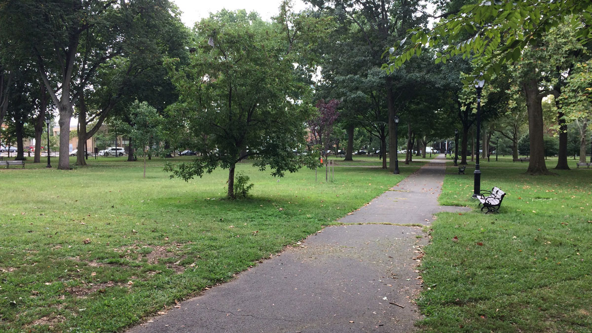 New Haven Group Seeks Ideas to Improve Wooster Square