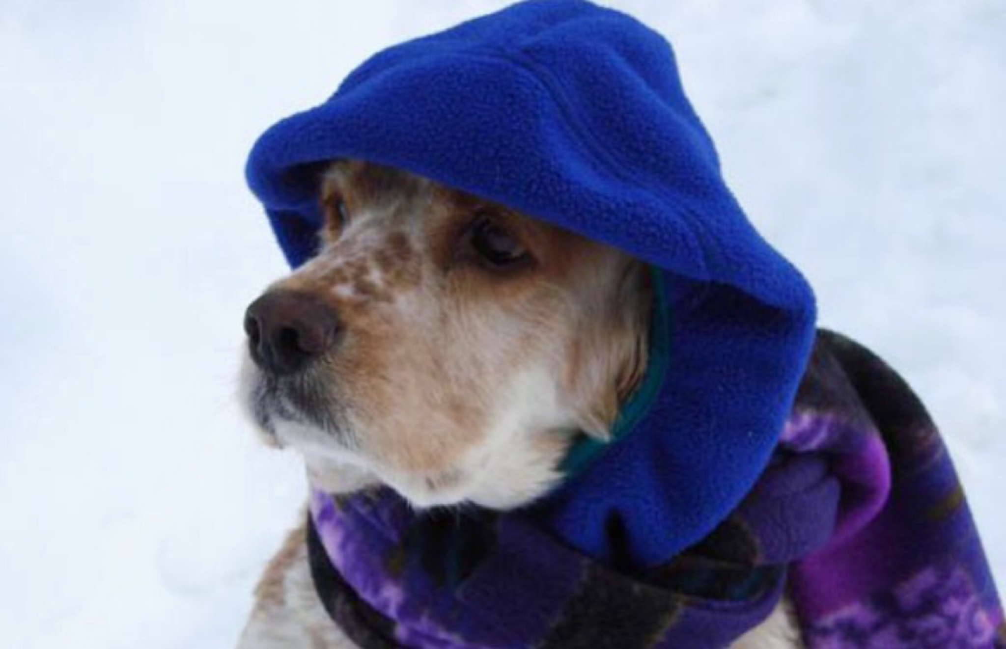 Your Photos from the Jan. 31 Winter Storm