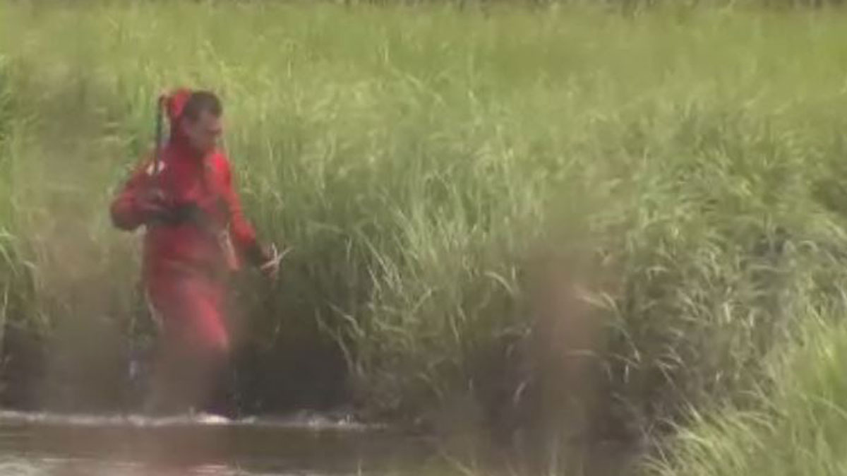 Vigil to Honor 10-Year-Old Swept into Branford River