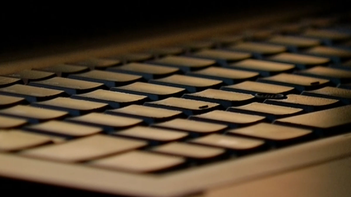 Computers Stolen From Working Families Party Office in Hartford