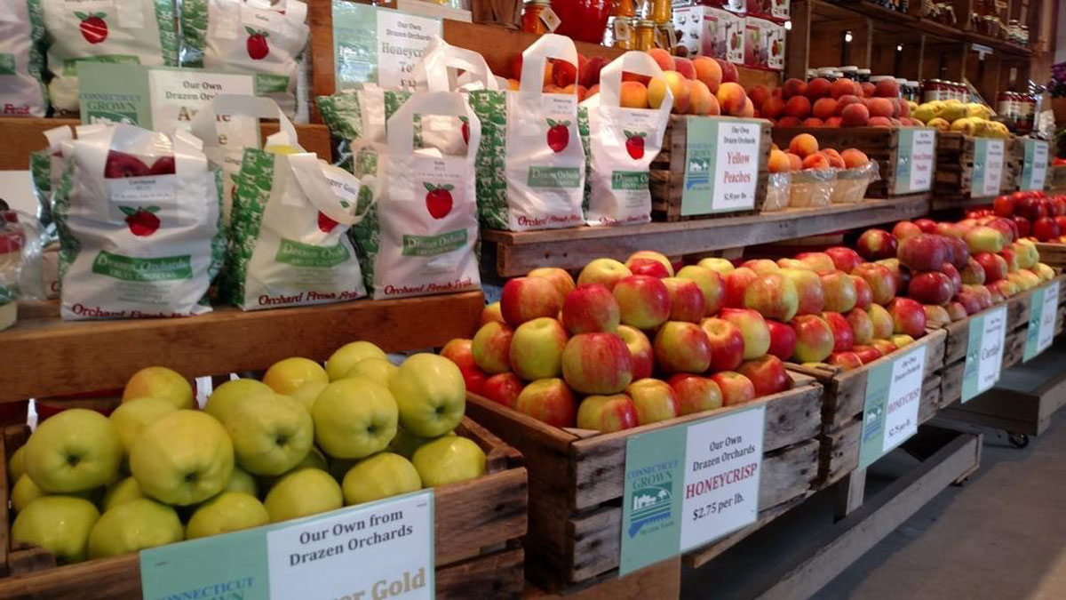 CT Apple Crop Could Produce Record Harvest: Officials