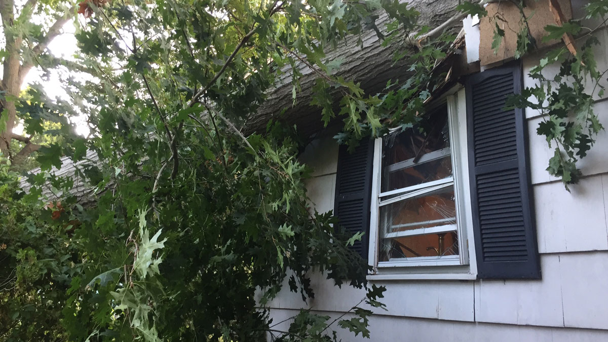 1 Injured After Tree Falls on House in Fairfield