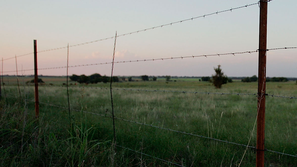 Coyote Howls Heard in Farmington