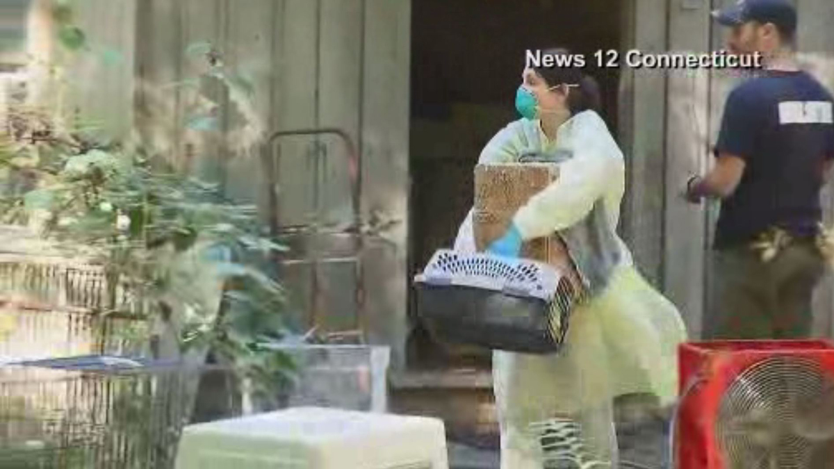 Hundreds of Snakes, Birds, Turtles, Some Dead, Found at Weston Home