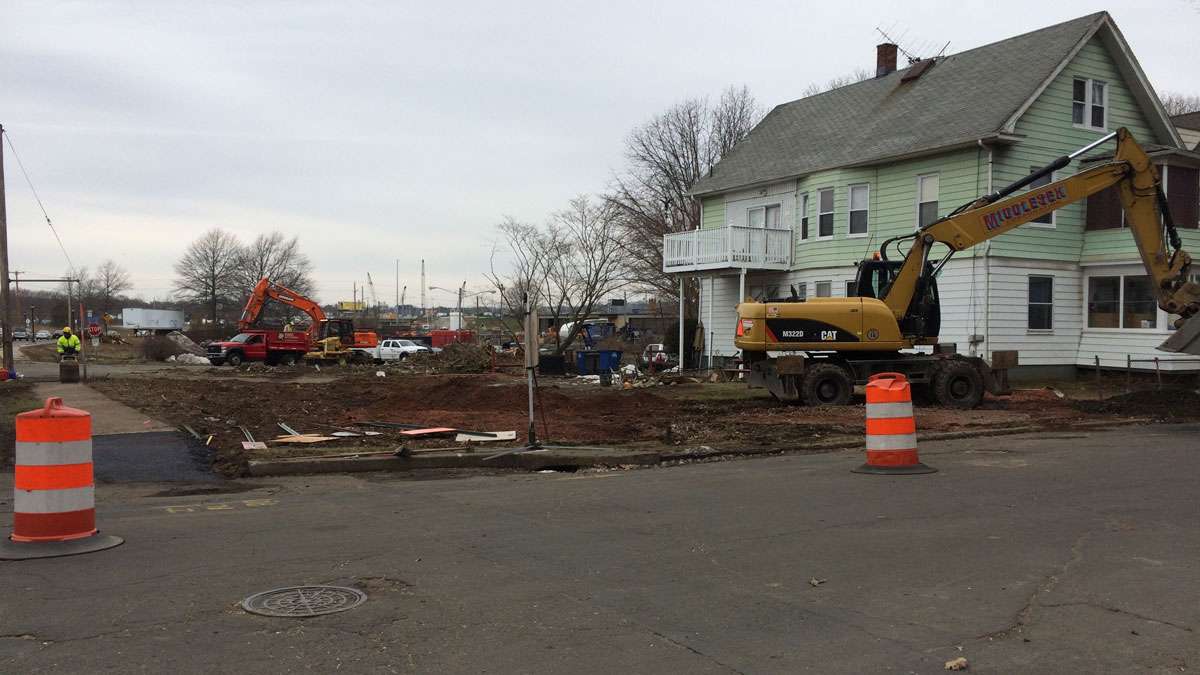 Hundred Year Old Tree Removed For Traffic Project in New Haven