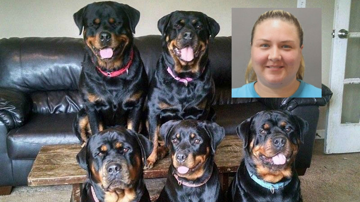 60 Days in Prison for Owner of Dogs That Mauled Woman