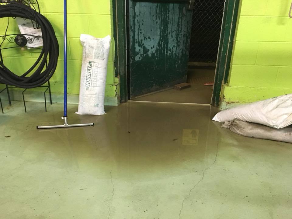 Meriden Humane Society Has Until February to Leave Building