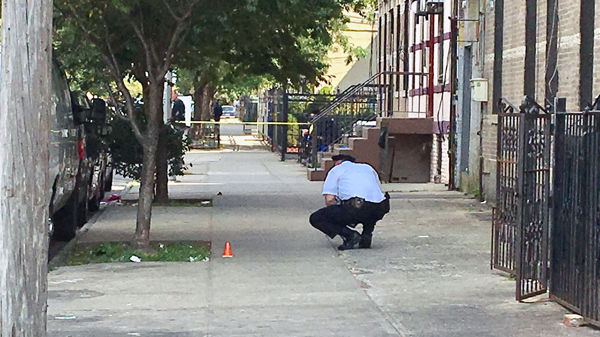 Pregnant Woman Shot in Head in NYC: Source