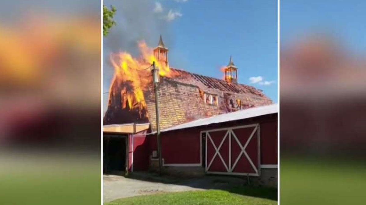 Scotland Vineyard Reopens After Fire